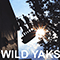 10 Ships (Don't Die Yet) - Wild Yaks