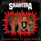 Vulgar Display Of Power Metal-ShamterA (UK PanterA tribute band)