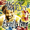 Family Time - Ziggy Marley & The Melody Makers (Marley, Ziggy)