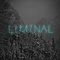 Liminal - Liminal (Sigur R os, J onsi, Alex Somers & Paul Corley)