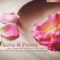 Love & Peace - Lisa Lynne