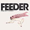 Forget About Tomorrow (Single) - Feeder (Renegades)