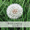 Stillness - Neil H