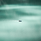 Floating (Single) - Smoke Trees