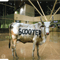 Behind The Cow (Vinyl Single)