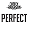 Perfect (Single) - Anderson, Coffey (Coffey Anderson)