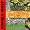 Big Deal - Marble Sheep (Marble Sheep & The Run-Down Sun's Children)