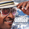 Summer in Kingston-Shaggy (Orville Richard Burrell)