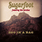 Ego In A Bag (Single) - Sugarfoot