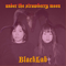 Under the Strawberry Moon - BlackLab (Yuko Morino & Chia Shiraishi)
