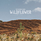 Wildflower (Single) - National Parks (The National Parks)