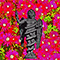 Pink Flowers (EP) - Horrid Red