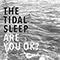 Are You OK (Split) - Tidal Sleep (The Tidal Sleep)