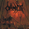 Divide And Conquer-Cianide