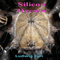 Ludwig Fun (Rabbit Mix) 12'' - Silicon Dream