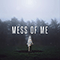Mess Of Me (Single)
