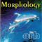 Morphology - Orb (GBR) (The Orb / OSS - The Orb Sound System)