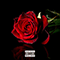 Rose Like (Single) - Yung Tee El (Toma Toes)
