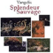 Splendour Sauvage (OST) - Soundtrack - Movies (Музыка из фильмов)