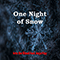 One Night Of Snow (Single) - Into the Blood