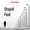Stupid Fool (Single) - Into the Blood