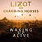 Waking up Alive (with Charming Horses) (Single) - Lizot (Max Kleinschmidt & Jan Sievers)