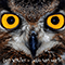 Owl Eyes (Single)