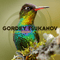 Hummingbird + The Maze (Single) - Gordey Tsukanov (Гордей Цуканов)
