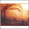 Selected Ambient Works Volume II (CD1) - Aphex Twin (Polygon Window, Richard David James, AFX, Caustic Window)