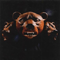 Devil's Music - Teddybears (Teddybears STHLM)