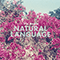 Natural Language - Via Audio