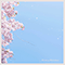 Cherry Blossoms (Single)