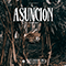 Asuncion (Single) - Courtois, Kevin (Kevin Courtois)