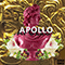 Apollo - Dweeb