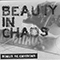 Bonus Re-Envisions - Beauty in Chaos