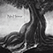 Niu Heimar (feat. Danheim) (Single) - Gealdyr (Jonathan Barendsma /Gealdýr)