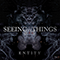 Entity (Single) - Seeing Things (SΞΞING_THINGS 妄想症)