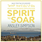 Spirit To Soar (Music From The Documentary)