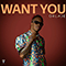 Want You (Single) - Oxlade (Ikuforiji Olaitan Abdulrahman)