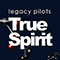 True Spirit (feat. John Mitchell & Marco Minnemann) [Radio Edit] - Marco Minnemann (Minnemann, Marco)