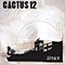 Stay - Cactus 12