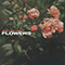Flowers - Maktkamp