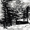 The Forest Wail (demo)