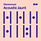 Acoustic Jaunt - Michel-Yves Kochmann