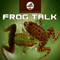 Frog Talk (Demo) - Levantis (Levantis & Friends)