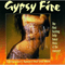 Gypsy Fire - Omar Faruk Tekbilek