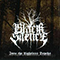 Into the Lightless Depths - Black Silence