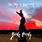 The Sky Is Bleeding - Biig Piig