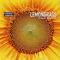 Fleur Solaire - Lemongrass (Roland Voss)