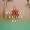 Why Would I Let You Go (Single) - Sondre Lerche (Lerche, Sondre / Sondre Lerche Vaular)